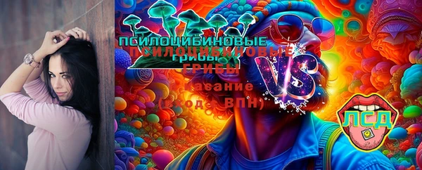 эйфоретик Гусиноозёрск