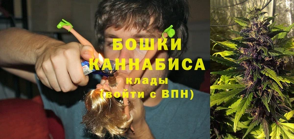 хмурый Медногорск