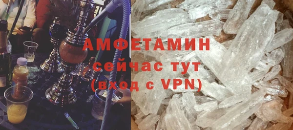 крисы Мегион