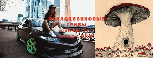 эйфоретик Михайловка