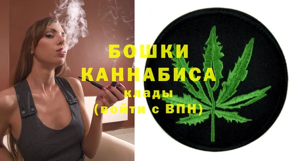 крисы Мегион