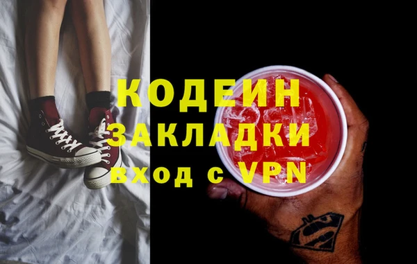 крисы Мегион