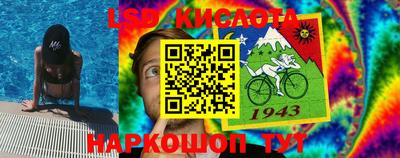 амф Гусев
