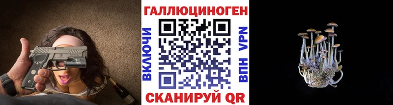 Галлюциногенные грибы мицелий  купить наркотик  Звенигород 